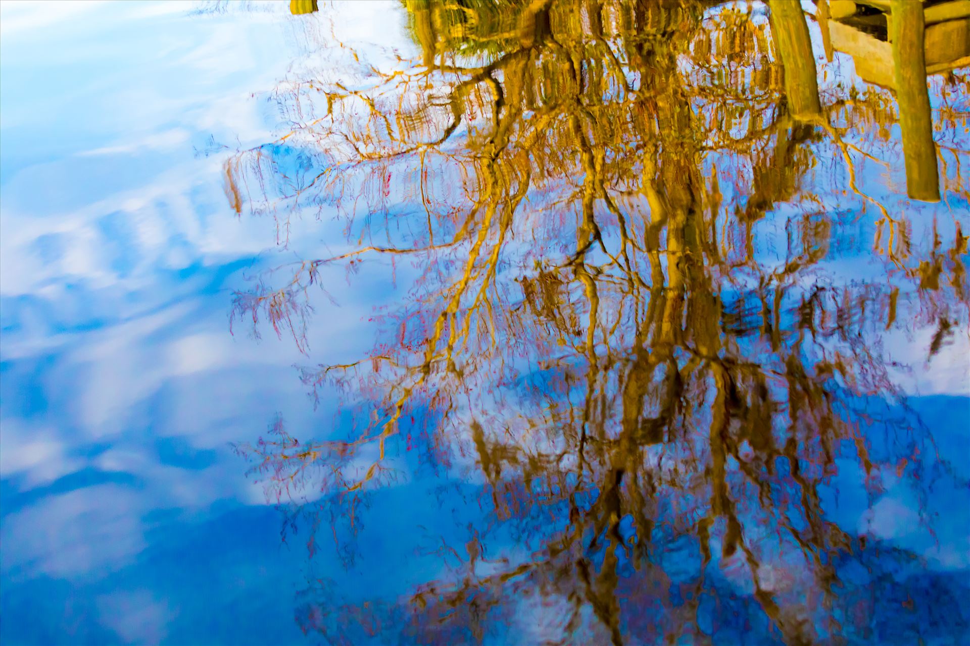 Reflections-5.jpg - Blue sky, clouds, tree reflections on the water. by Cat Cornish Photography