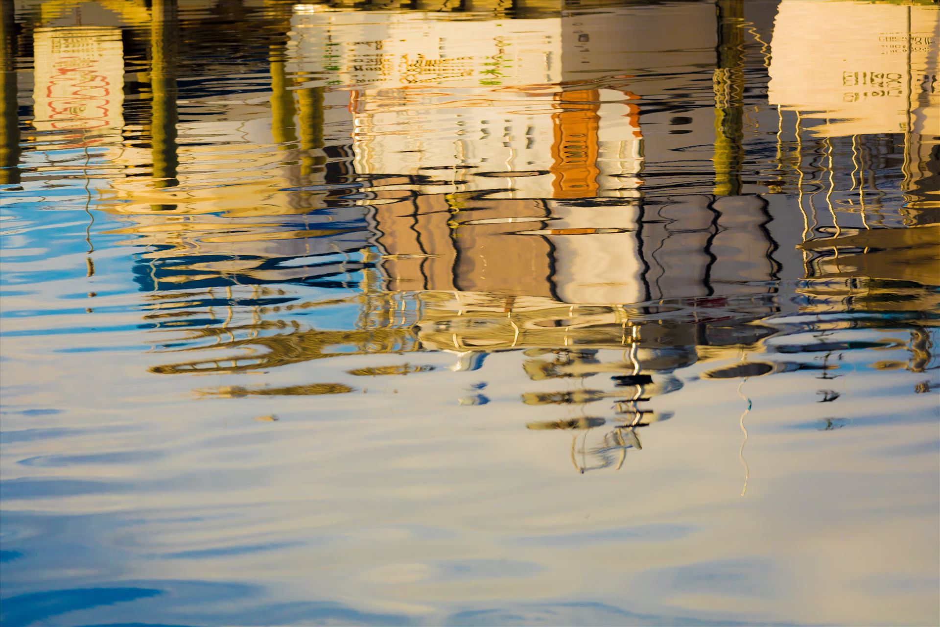 Reflections-7.jpg -  by Cat Cornish Photography