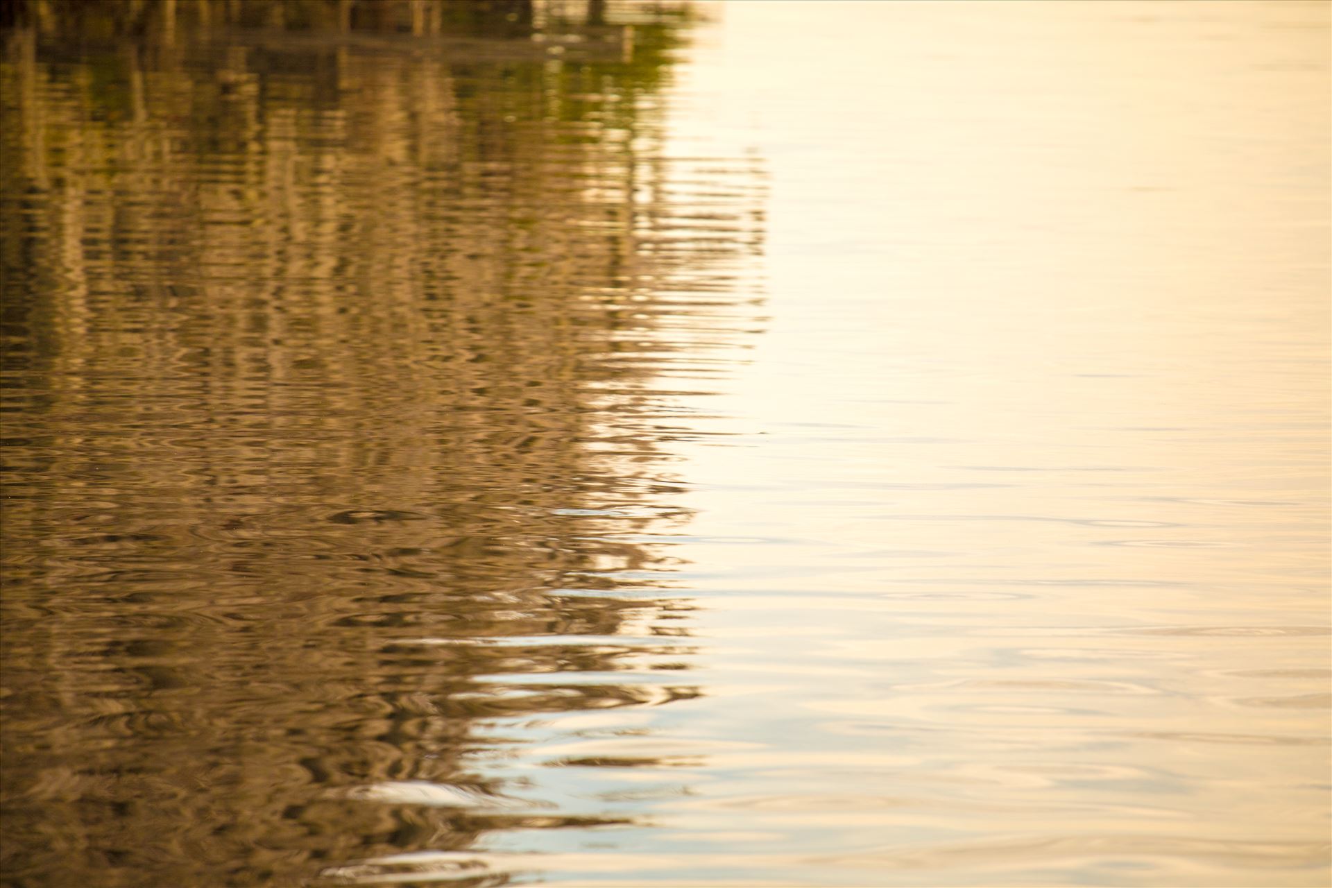 Reflections-1.jpg - Water reflection by Cat Cornish Photography